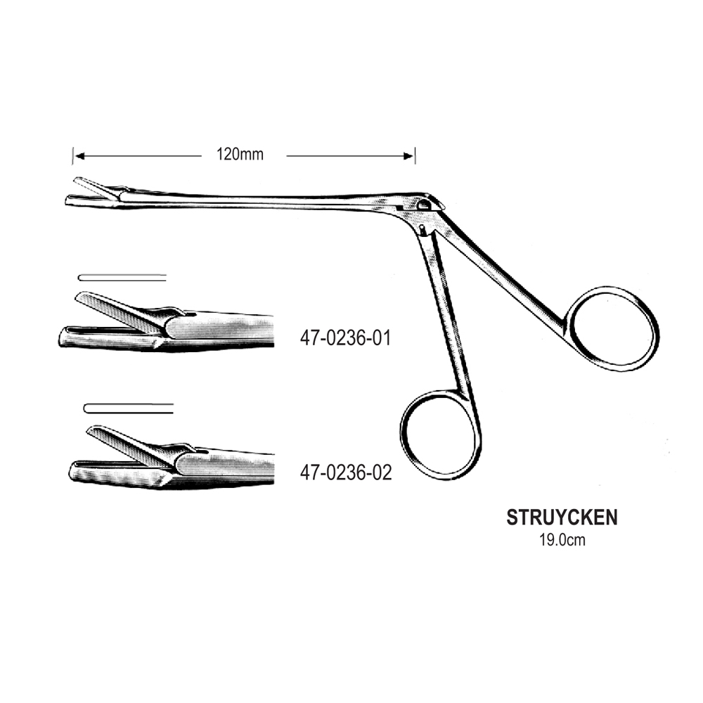 RHINOLOGY