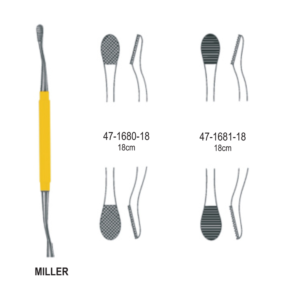 RHINOLOGY