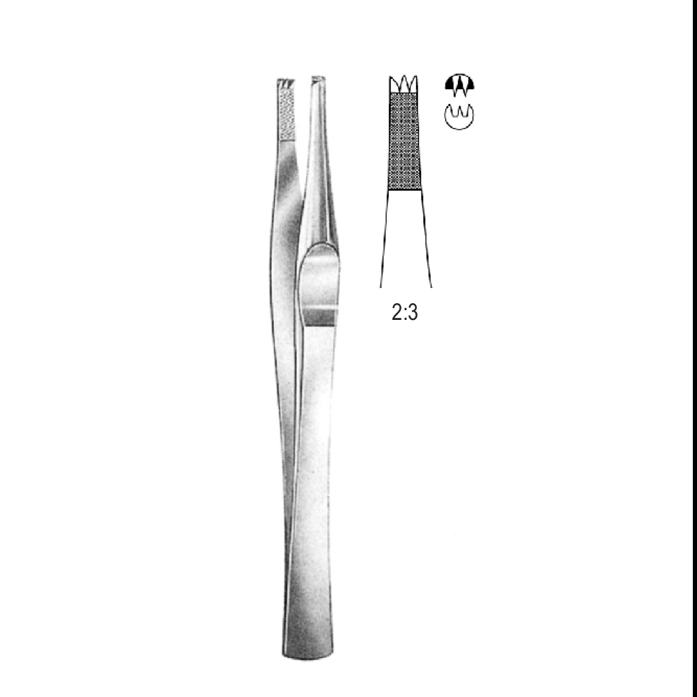 TISSUE FORCEPS  LANES   12.5cm  TEETH 2X3