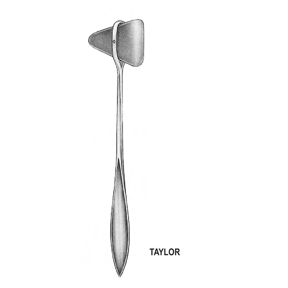 TAYLOR HAMMERS 20 cm