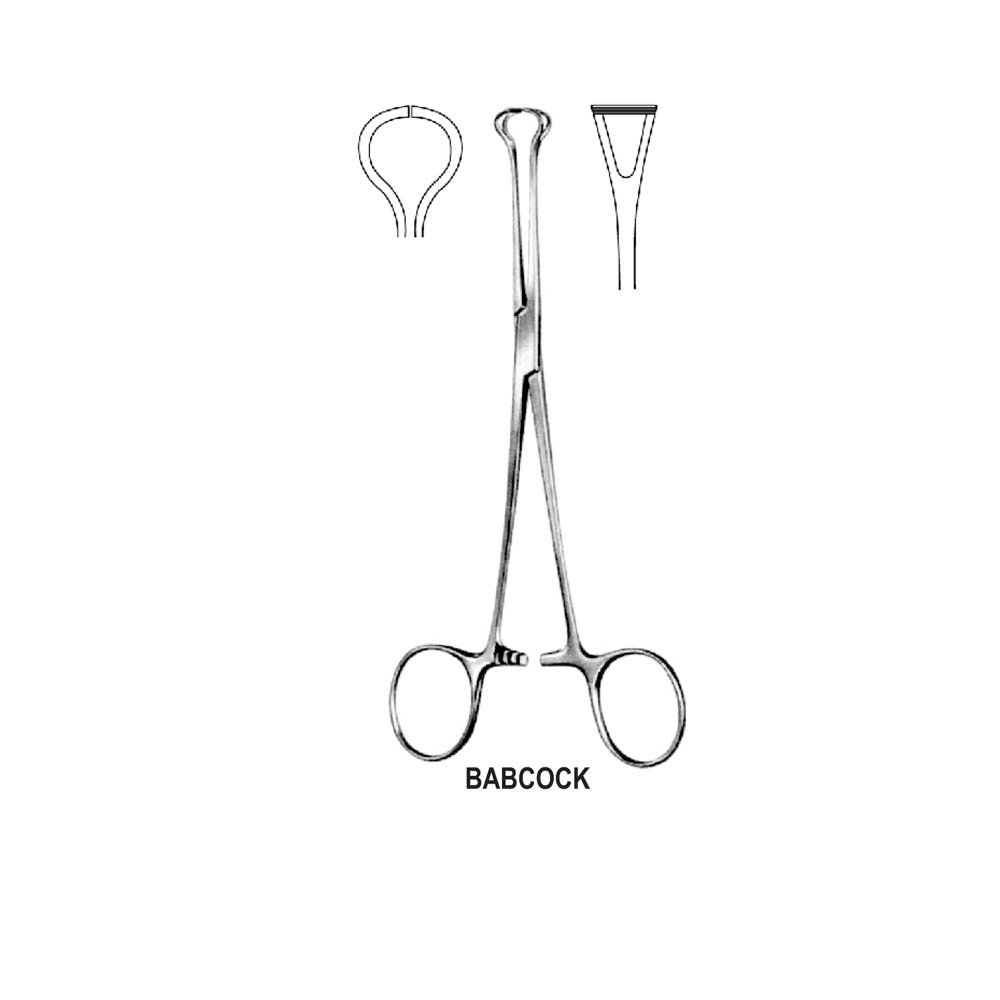 TISSUE AND INTESTINAL BABCOCK FORCEPS T.C  16.0cm